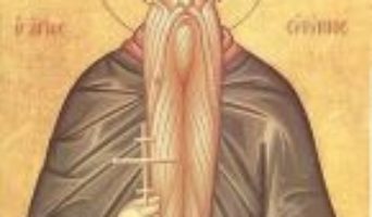 Преподобный Евфимий Великий – житие