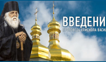 ВВЕДЕНИЕ. Проповедь епископа Василия – видео