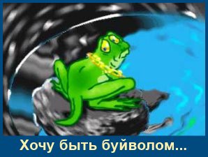 Хочу быть буйволом