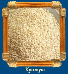 Кунжут