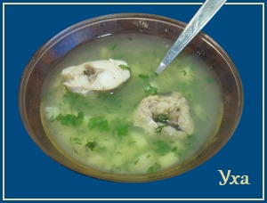 Уха