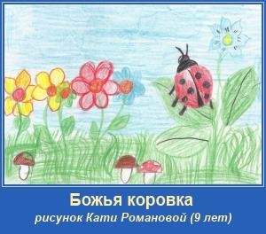 Божья коровка