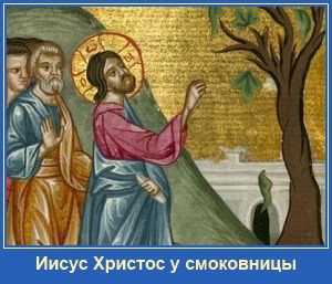 Иисус Христос и смоковница