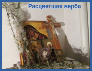 Расцветшая верба