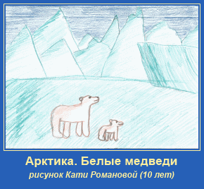 Арктика, медведи