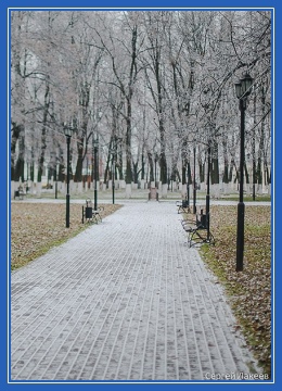 Парк, ноябрь, декабрь