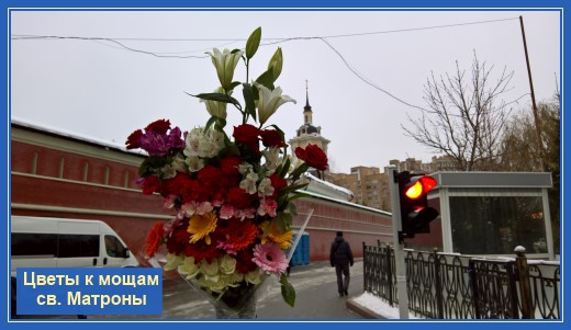 Цветы к мощам блаженной Матроны