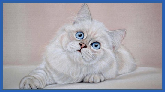 Картины Марии Емельяновой. Кот, кошка