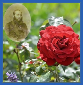 Афанасий Фет. Осенняя Роза