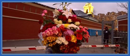 К блаженной Матроне в День Рождения - 22 ноября 2017! 4 Цветы к мощам блаженной Матроны