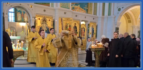 Воскресное паломничество 11 февраля 2018 2 Выход с Евангелием