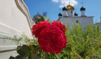Фотография дня