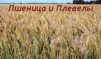 Слова на букву “О”. Библейские выражения