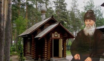 Дорожный посох. Вырица