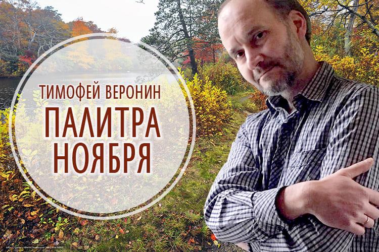 Палитра ноября