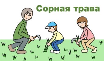 Сорная трава | Назидание детям и взрослым