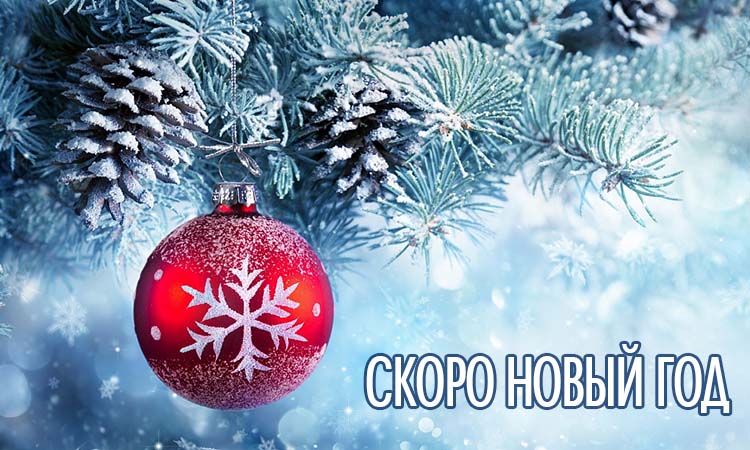Скоро Новый Год