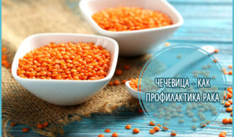 Чечевица – как профилактика рака