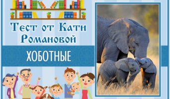 Хоботные | Тест Кати Р.