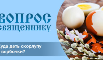 Куда деть скорлупу и вербочки?