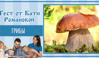 Грибы | Тест Кати Р.
