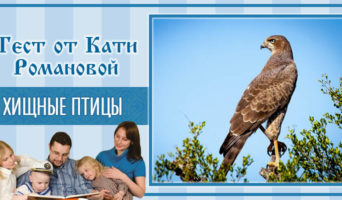 Хищные птицы | Тест Кати Р.