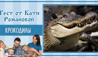 Крокодилы | Тест Кати Р.