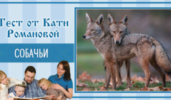Собачьи | Тест Кати Р.