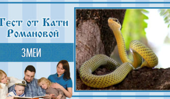 Змеи | Тест Кати Р.