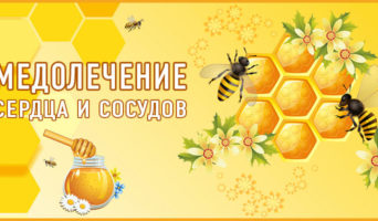 Медолечение сердца и сосудов