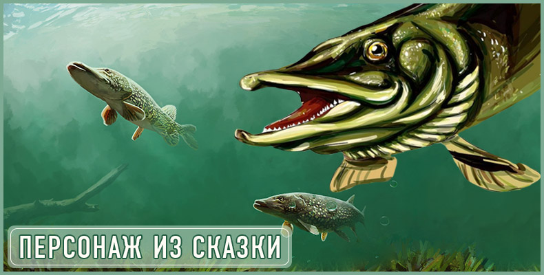 Персонаж из сказки