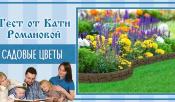 Садовые цветы | Тест Кати Р.