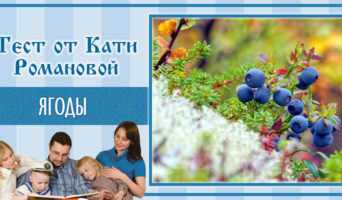 Ягоды | Тест Кати Р.