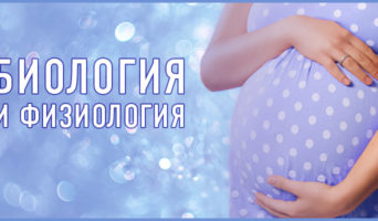 Биология и физиология