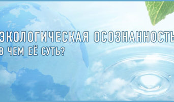 Экологическая осознанность – в чем её суть?