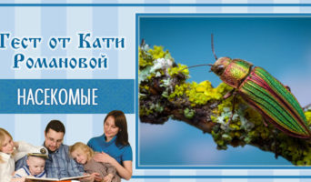 Насекомые | Тест Кати Р.
