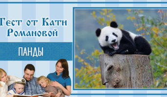 Панды | Тест Кати Р.