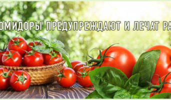 Помидоры предупреждают и лечат рак