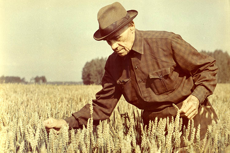 10 ноября в истории. Терентий Мальцев 3 Терентий Семёнович Мальцев