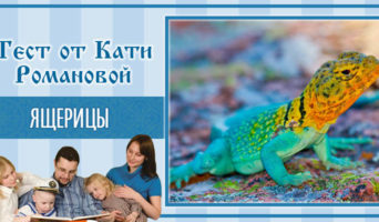 Ящерицы | Тест Кати Р.