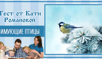 Зимующие птицы | Тест Кати Р.