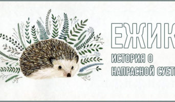 Ежик. История о напрасной суете