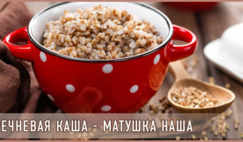 Гречневая каша – матушка наша