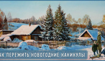 Как пережить Новогодние каникулы?