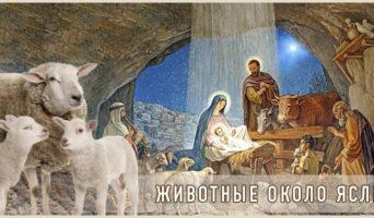 Животные около яслей