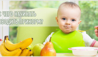 С чего начинать вводить прикорм