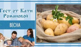 Картофель | Тест Кати Р.
