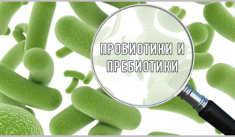 Пробиотики и пребиотики