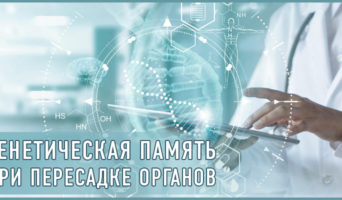 Генетическая память при пересадке органов