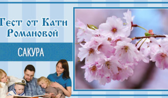 Сакура | Тест Кати Р.